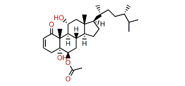 6-epi-Yonarasterol B